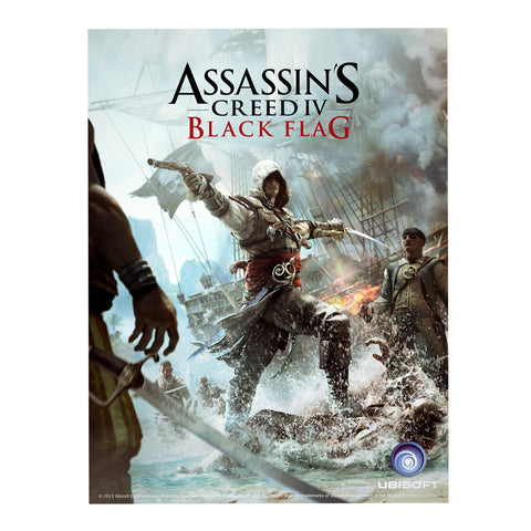 Assassin's creed black flag poster